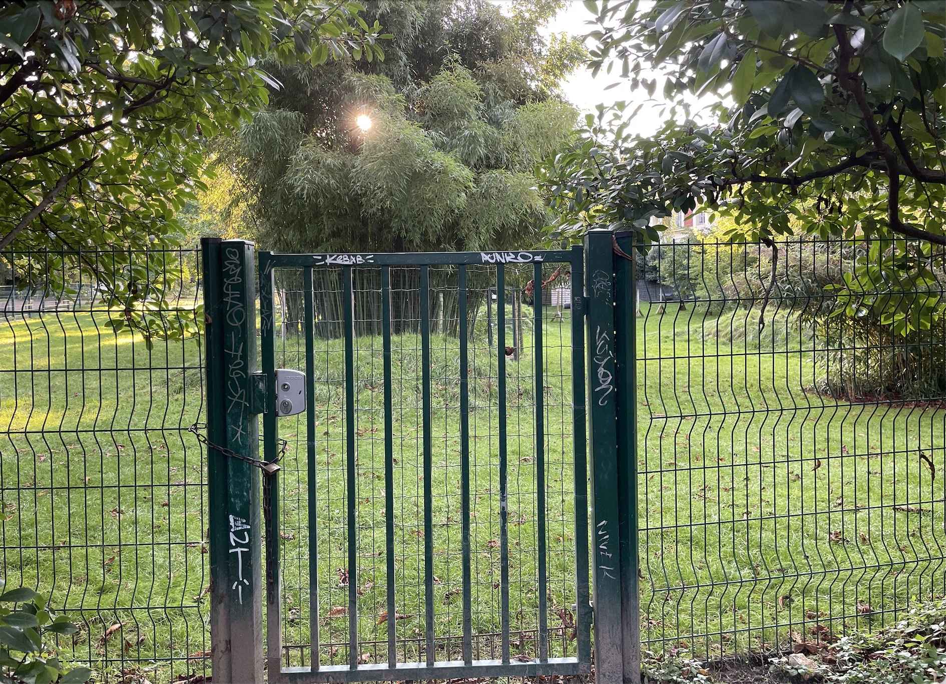 The back gate of the wallaby enclosure at the Botanical Garden, Paris, France.
